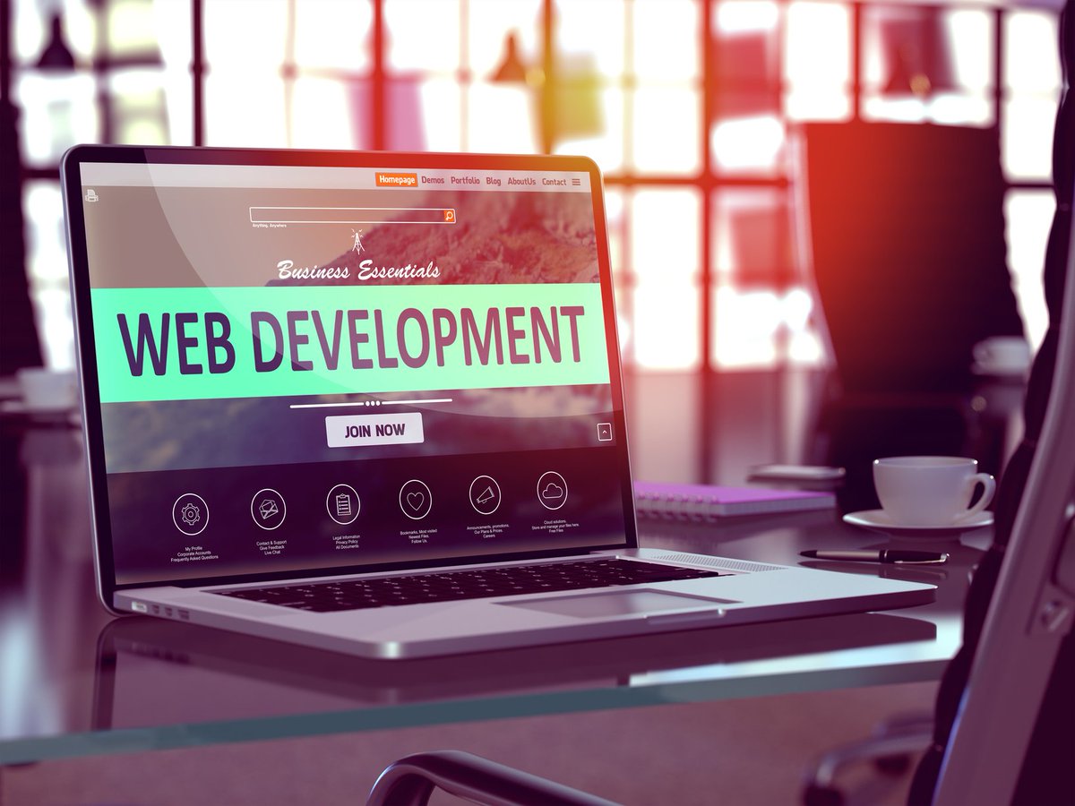 Importance Of Web Development