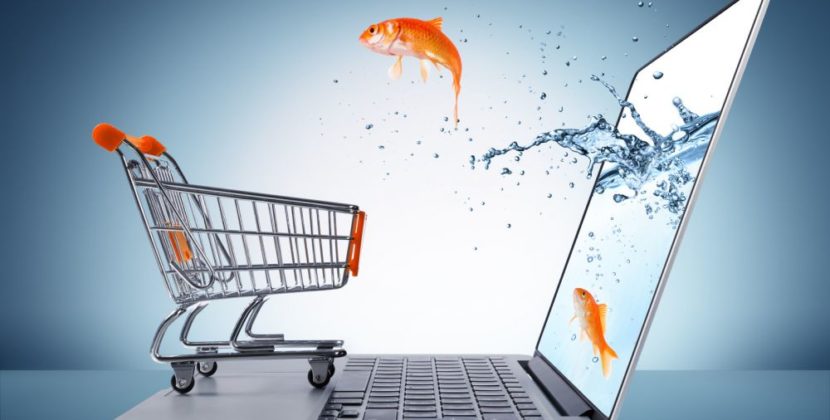 How e-commerce can compete for informational queries through optimizing for intent